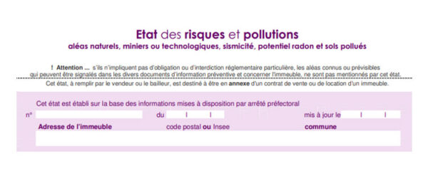 État des Risques et Pollutions